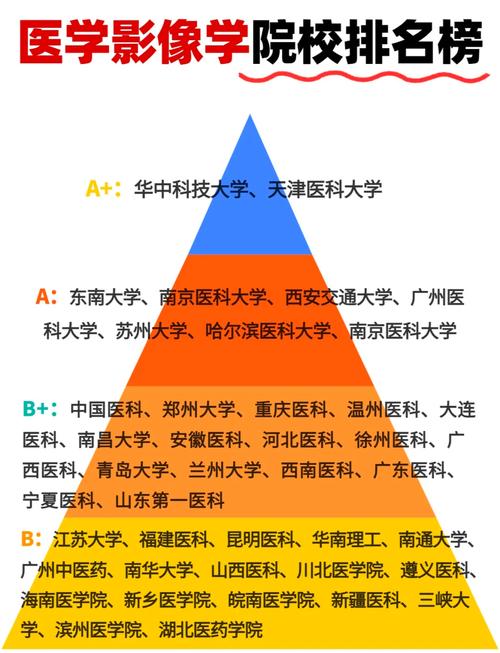 医学影像技术考研学校排名怎么选？-图2