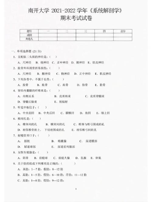 青岛大学解剖学考博真题-图3