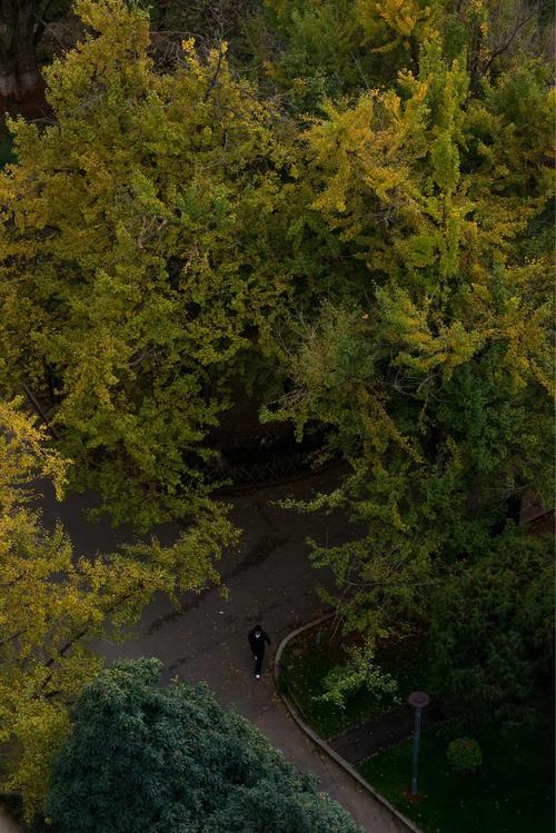 云南大学考博真题文渊楼-图3