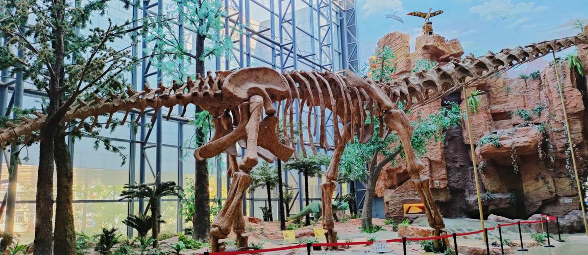 南京大学构造地质学考博难度如何？-图2