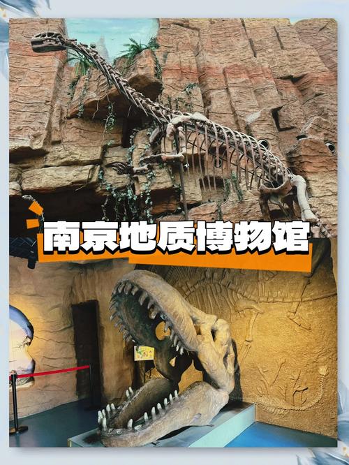 南京大学构造地质学考博难度如何？-图1