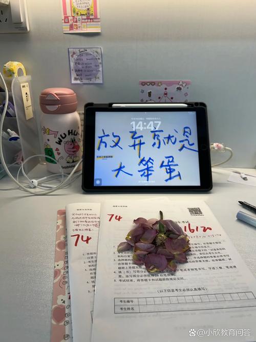 考研204英语二参考书-图2