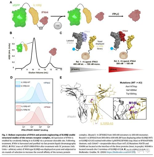 山东大学考博细胞和分子-图2