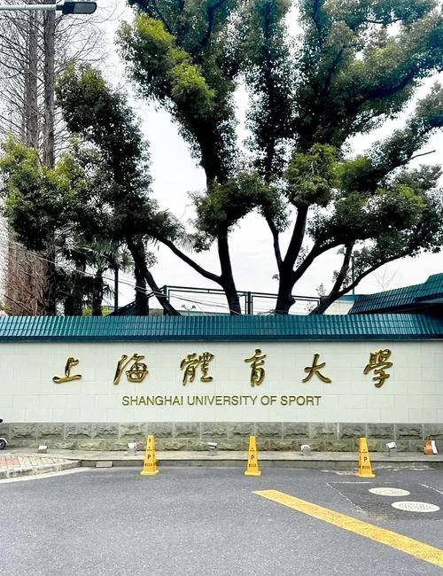 19体院考博有何新变化或备考要点?-图1 19体院考博有何新变化或备考要点?-图1