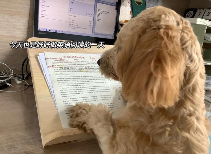 2005年考研英语真题难度如何？-图2