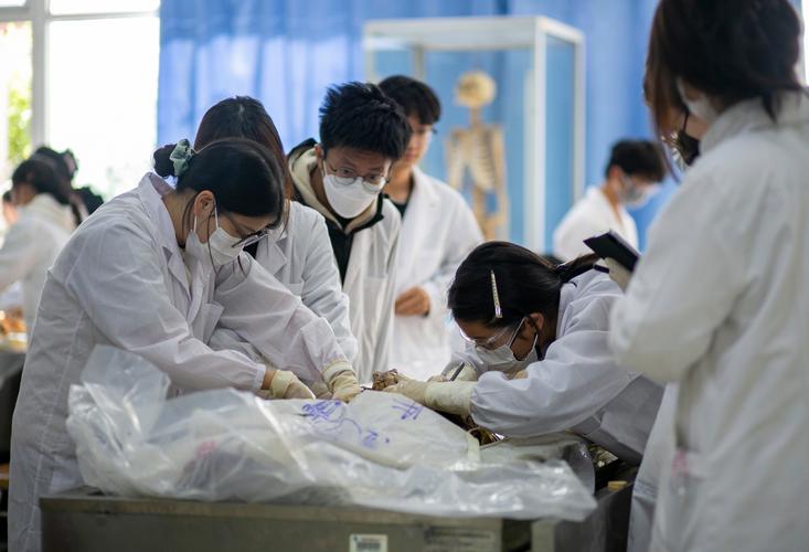 江南大学生物专业课考博重点有哪些?-图1 江南大学生物专业课考博重点有哪些?-图1