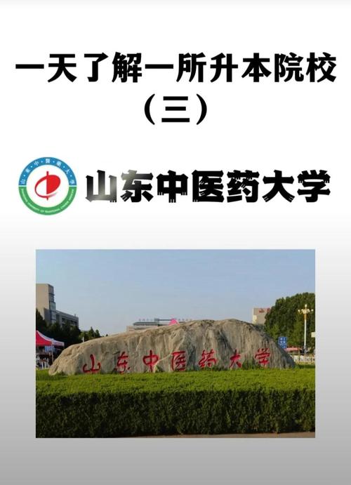 山东中医药大学考博内容有哪些？-图1