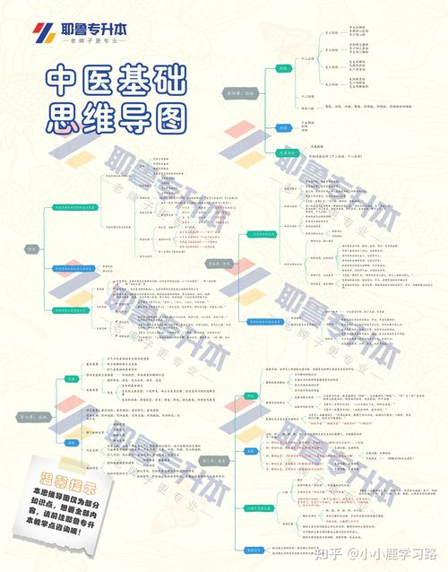 中医考博专业基础课具体考哪些科目?-图1 中医考博专业基础课具体考哪些科目?-图1