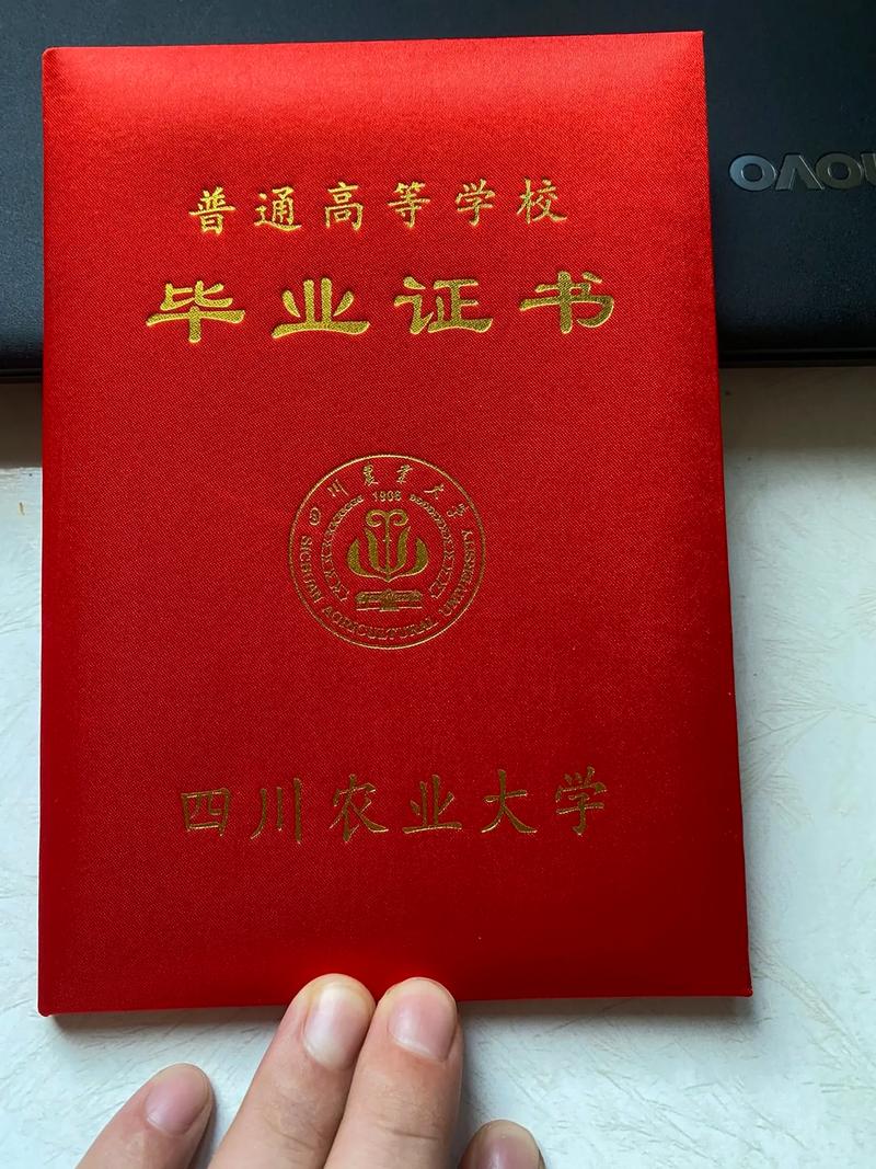 四川农业大学艺术考研-图3