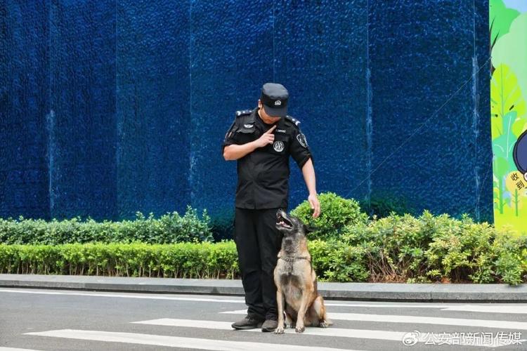 2025国考青岛公安招录有何新变化?-图1 2025国考青岛公安招录有何新变化?-图1