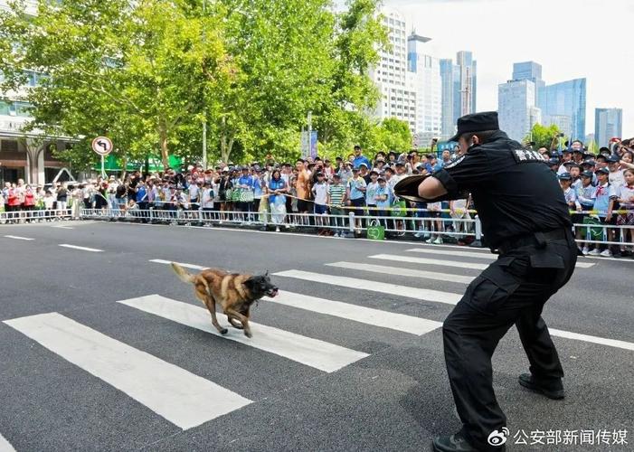 2025国考青岛公安招录有何新变化?-图2 2025国考青岛公安招录有何新变化?-图2