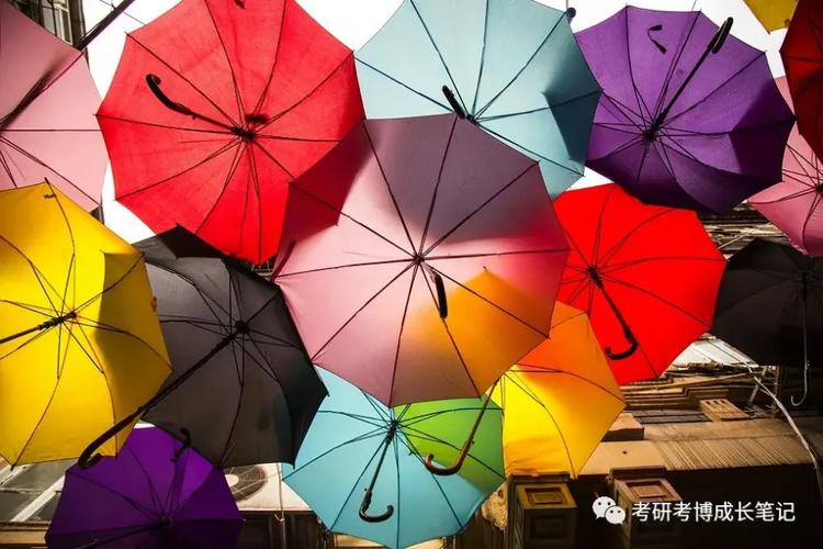 环科院考博英语免试条件有哪些？-图3