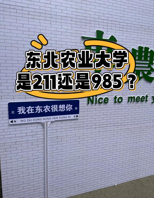 沈阳农大考博英语难吗?-图2 沈阳农大考博英语难吗?-图2