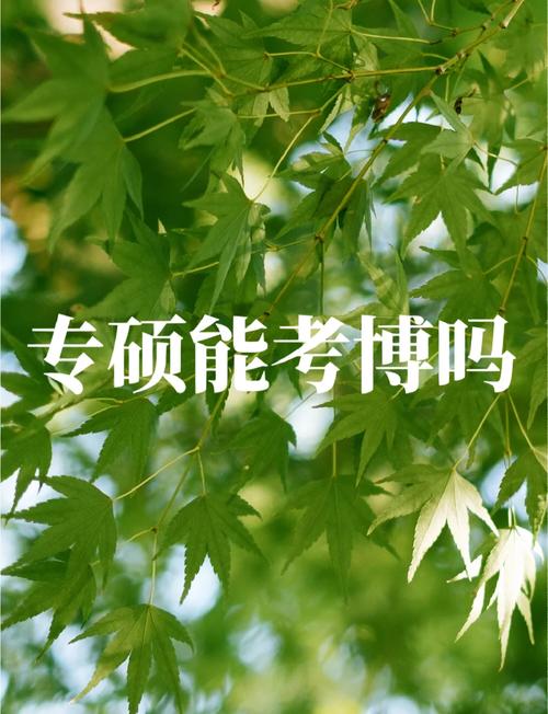 考博前是否必须通知单位？-图3