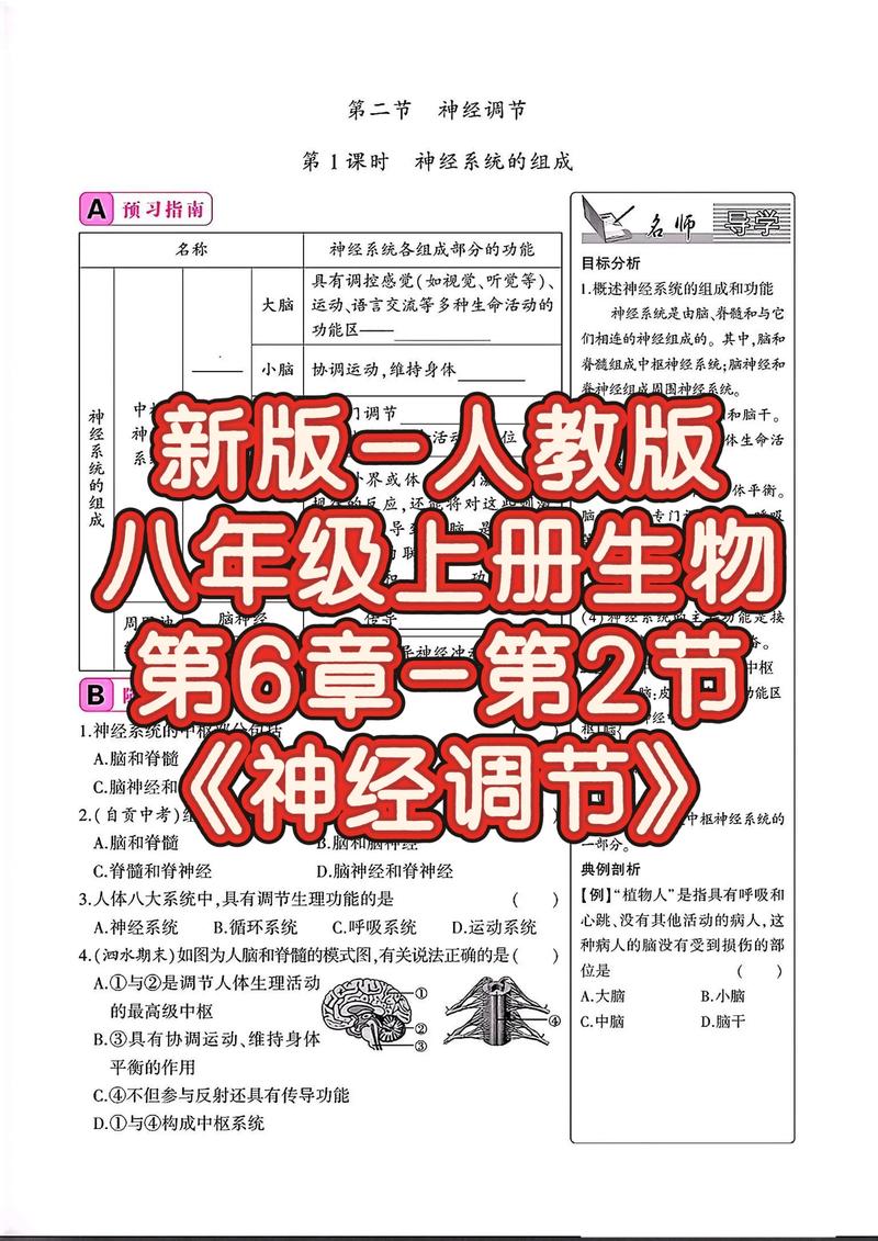 神经生物学考博重点有哪些？-图3