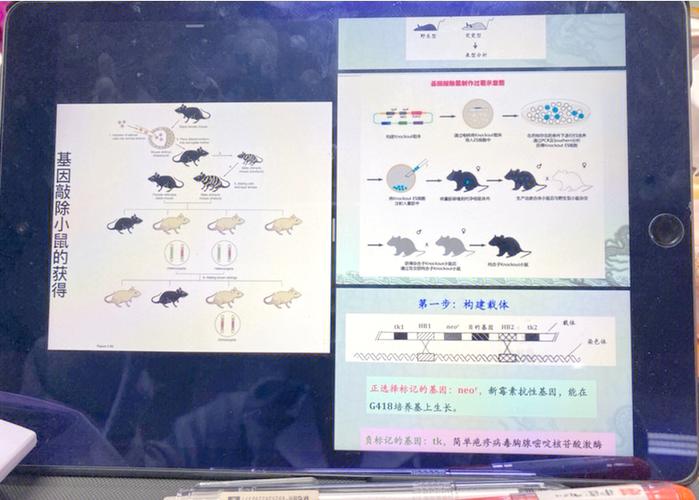 分子生物学考研考哪些核心科目？-图1