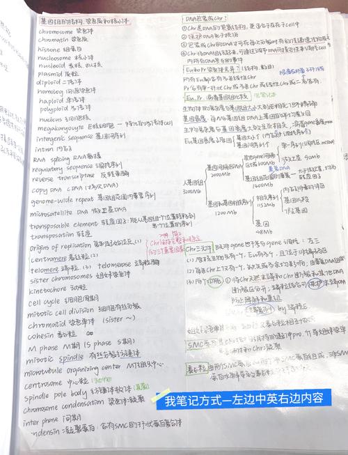 分子生物学考研考哪些核心科目？-图2