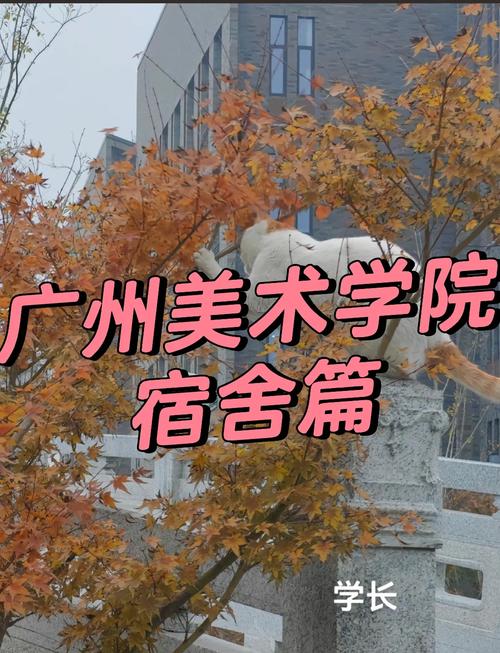 广美文博考什么？核心考点有哪些？-图2