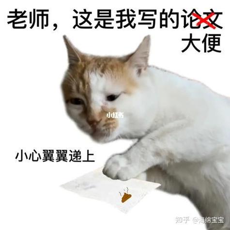 武大文学院考博复试口语考什么?-图2 武大文学院考博复试口语考什么?-图2