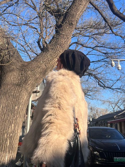 天津中医药大学中医考博如何准备？-图1