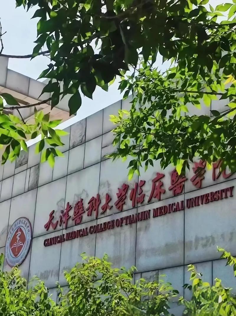 天津中医药大学中医考博如何准备？-图3