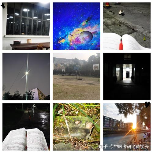 成都中医药大学考博博导如何选择？-图1