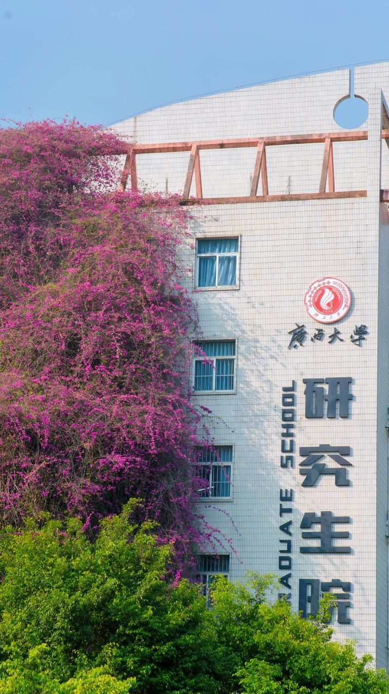 广西大学2025年考博何时报名？-图2