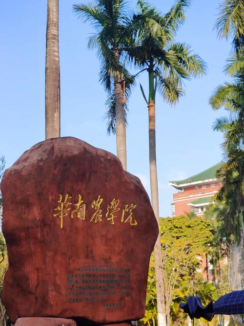 华南农业大学建筑考研怎么准备？-图2