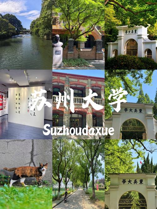 苏州大学现代文学考研如何高效备考?-图2 苏州大学现代文学考研如何高效备考?-图2