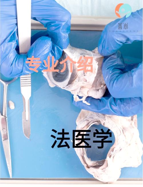 中大法医考研难吗?怎么准备?-图2 中大法医考研难吗?怎么准备?-图2