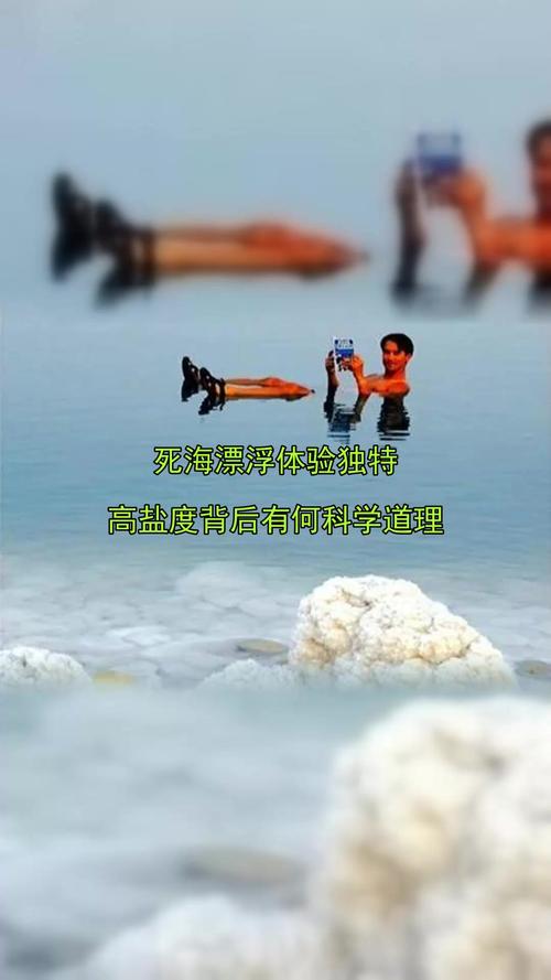 2010国考申论死海指什么？-图2