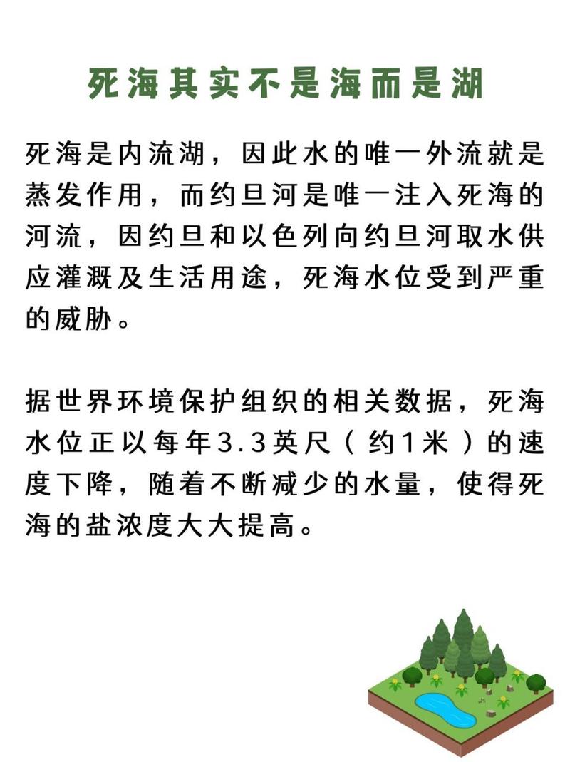 2010国考申论死海指什么？-图3