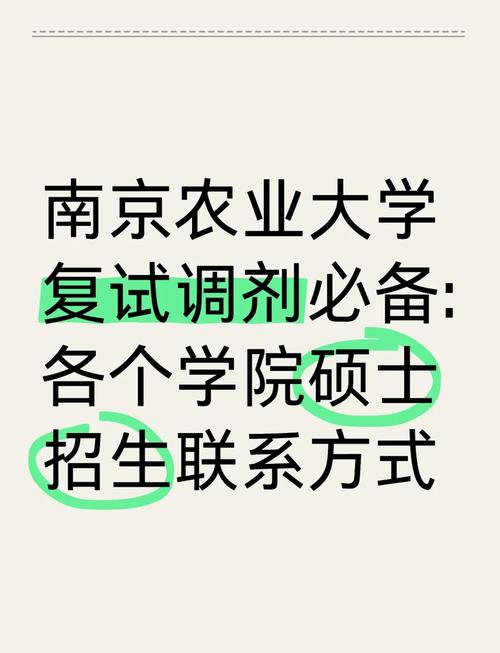 这里为您生成一个20-30字左右的疑问标题,,南农大考研调剂竞争激烈吗?低分考生现在准备还有上岸希望吗?-图1 这里为您生成一个20-30字左右的疑问标题,,南农大考研调剂竞争激烈吗?低分考生现在准备还有上岸希望吗?-图1