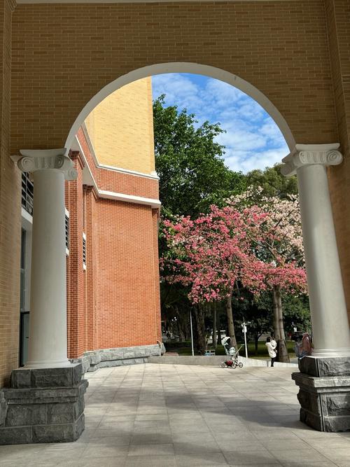 中大考研行政管理，如何高效备考？-图2