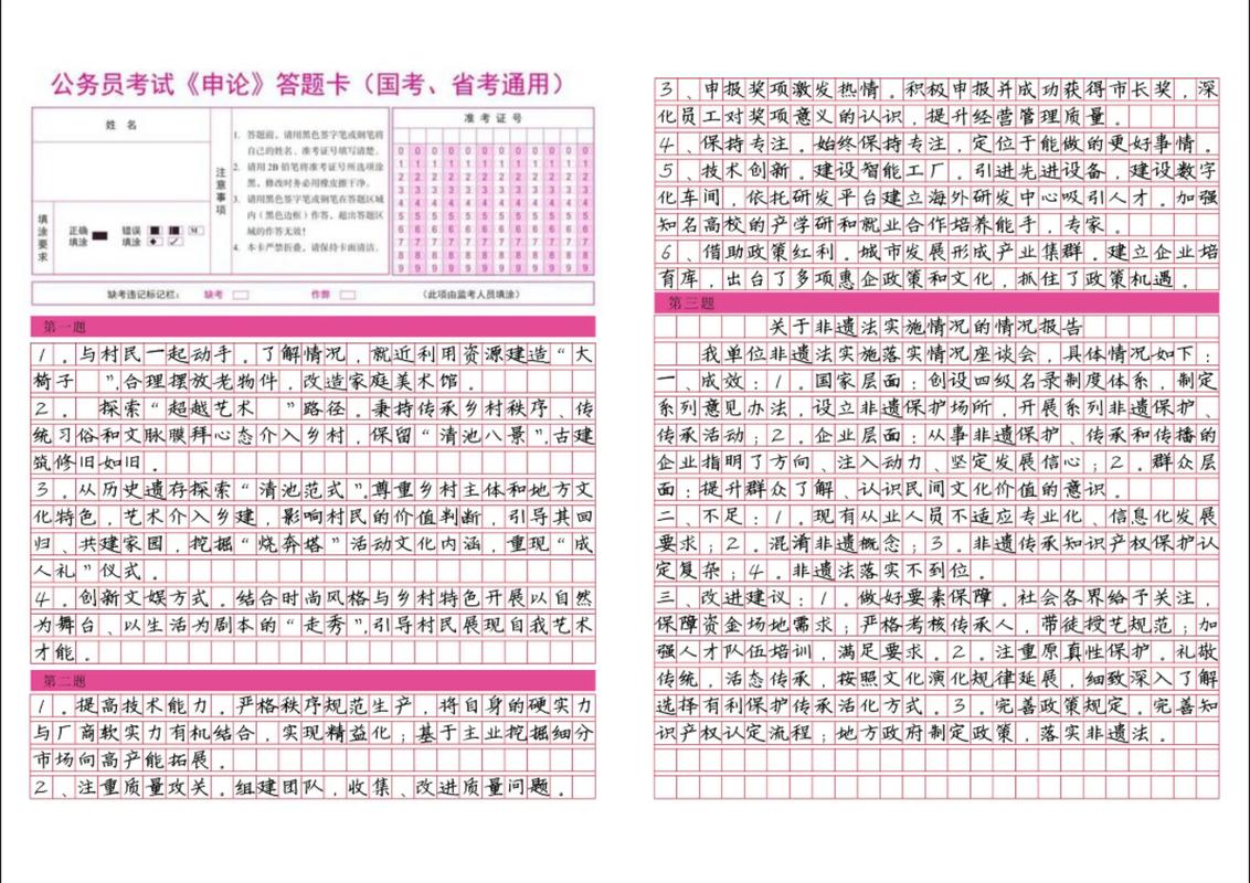 2025国考申论例子怎么用？-图3