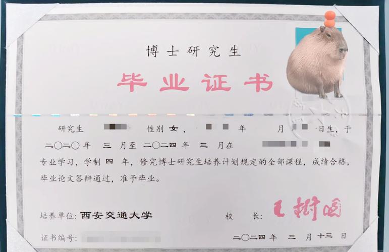 EMBA考博有何特殊要求？-图3