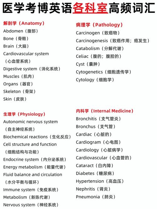 2005医学英语考博答案哪里找？-图1