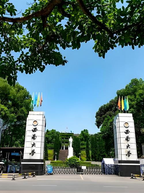 2025西南大学考博吧如何准备？-图1