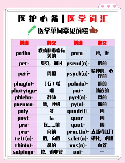 医学考博英语词汇如何高效备考？-图3