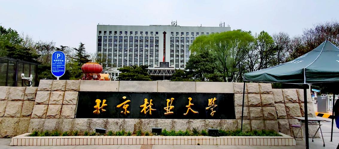 北京林业大学考博英语难度如何？-图1