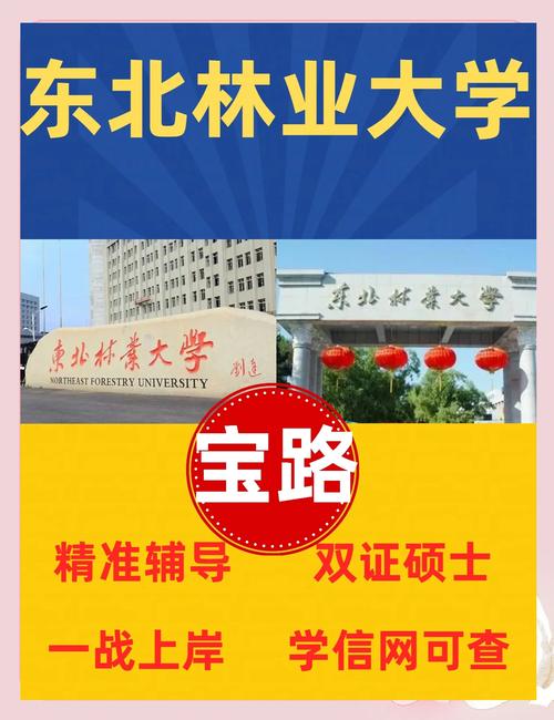 东北林业大学机电考研难度如何？-图3