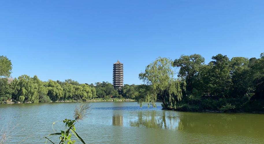 北大物理学院考博难不难？-图1