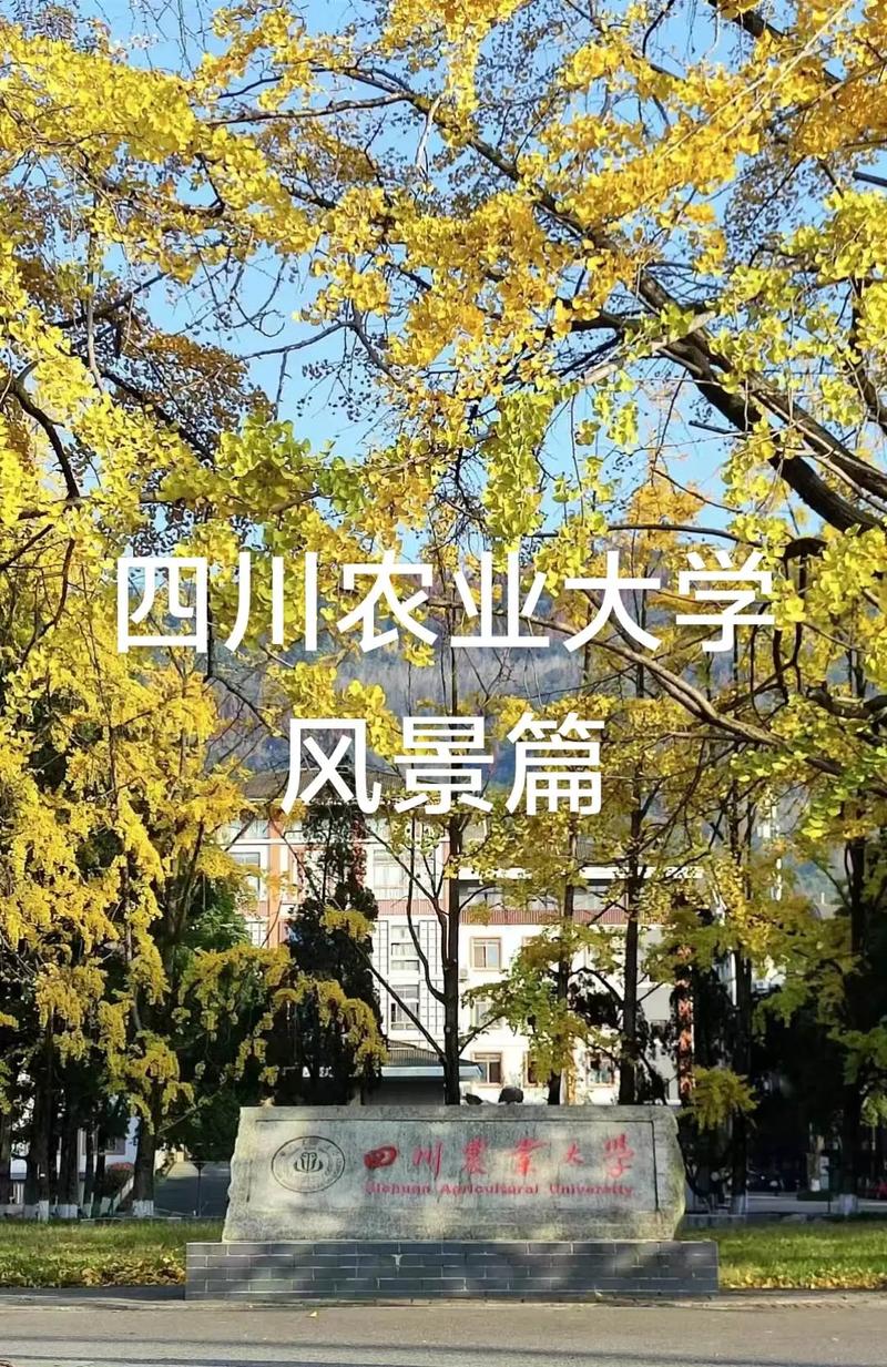 四川农业大学林业考博有何新动态？-图1