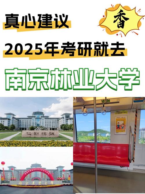 南京林业大学林业考研难度如何？-图1