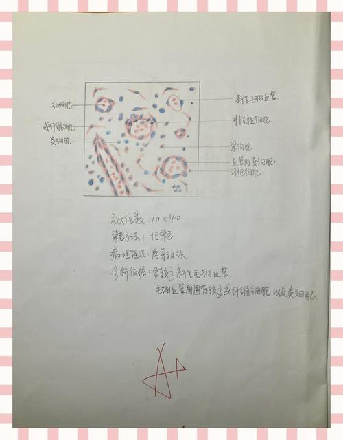 广西医科大学考博病理考什么？-图1