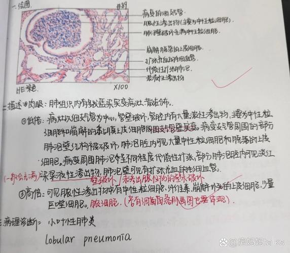 广西医科大学考博病理考什么？-图3