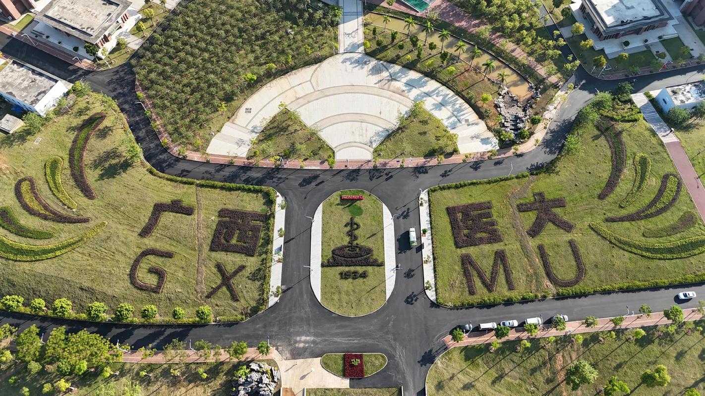 广西医科大学考博英语难度如何？-图2