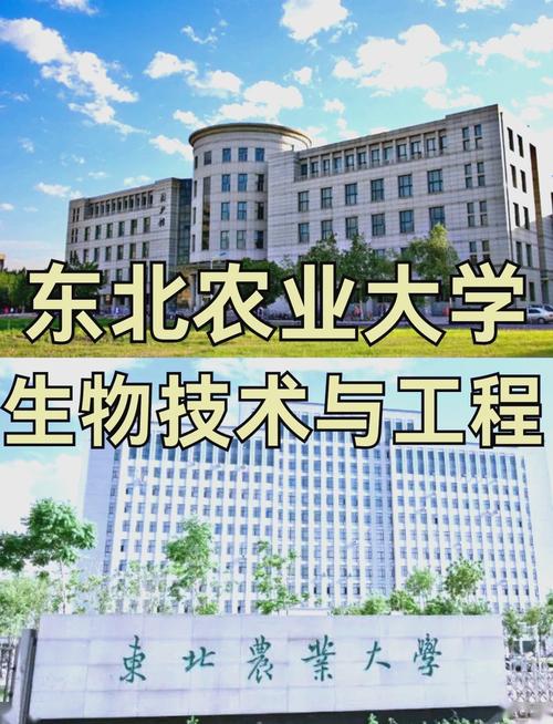 东北农业大学机械考研难不难？-图1