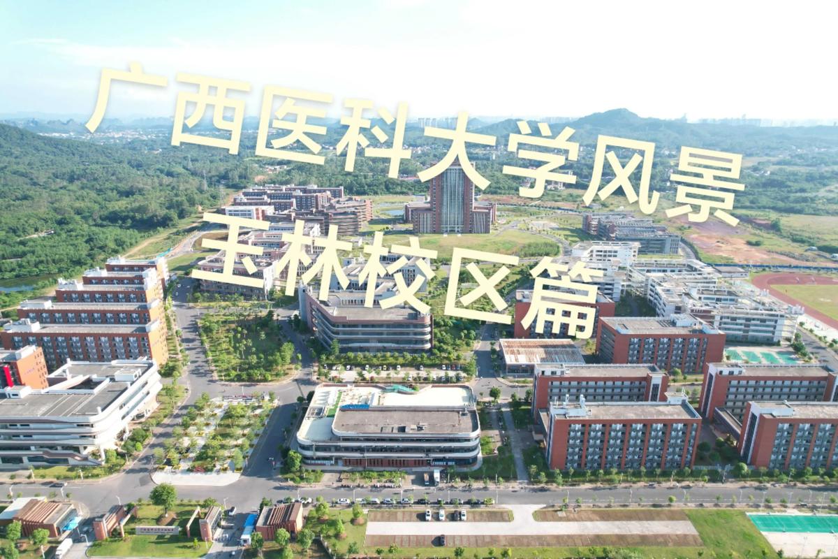 广西医科大学考博招生何时开始报名?-图3 广西医科大学考博招生何时开始报名?-图3