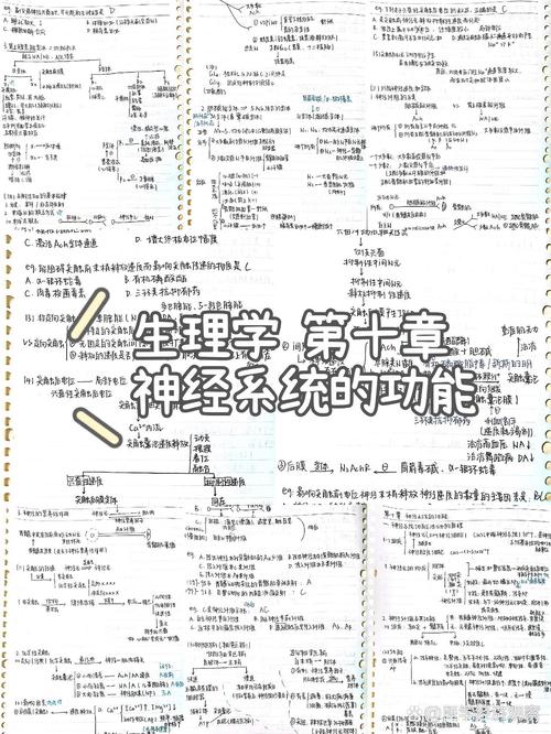 首医考博生理学参考书有哪些推荐？-图2
